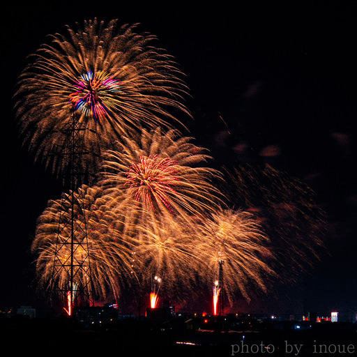 2019伊予彩まつり4.jpg