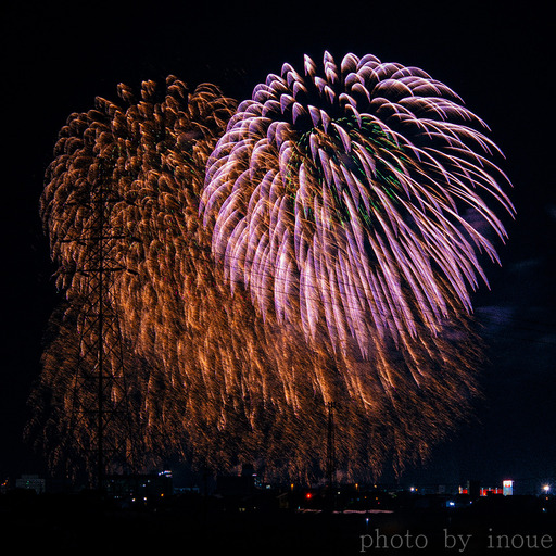 2019伊予彩まつり6.jpg
