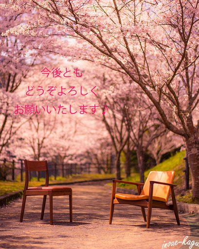 エディションストア伊予1周年3.jpg
