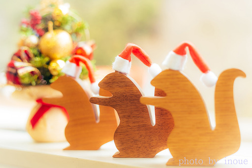 ナッツ君クリスマス仕様.jpg